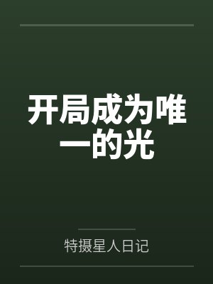 开局成为唯一的光 开局成为唯一的光